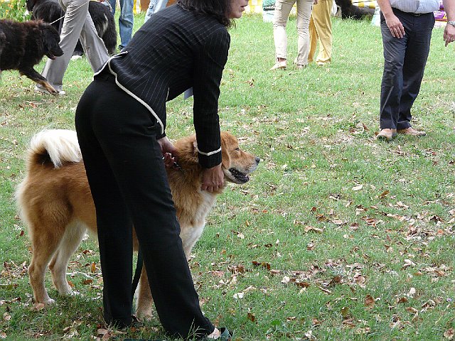 img 181.jpg